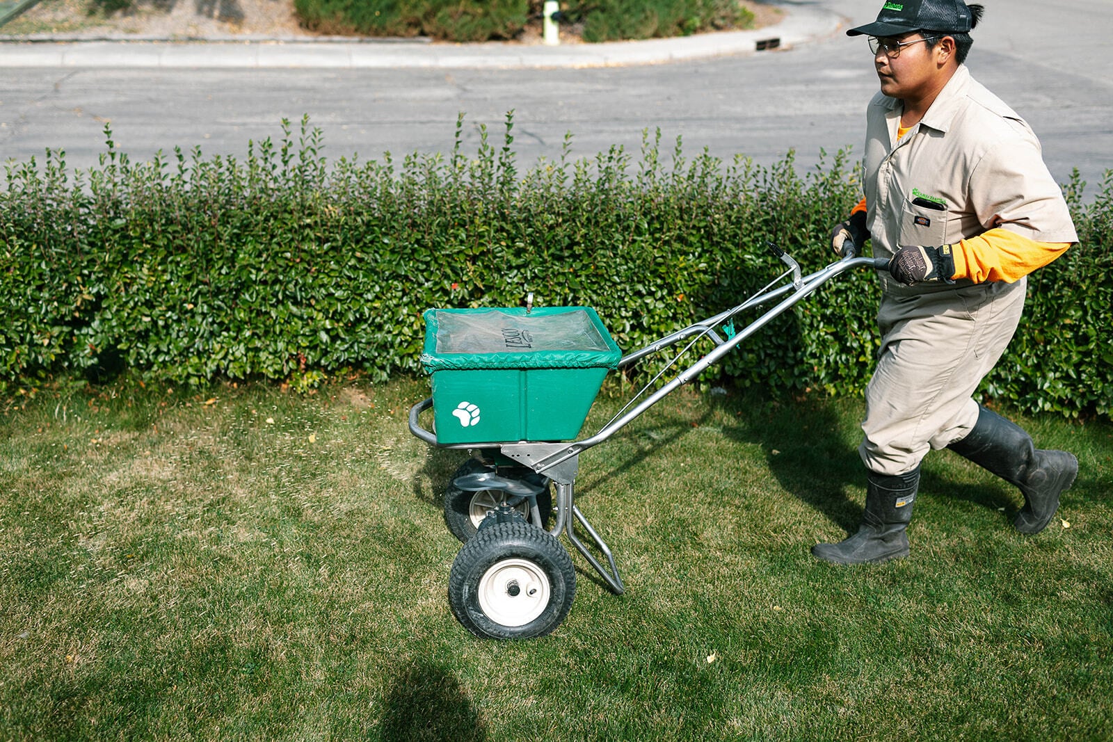 Is Spring Fertilizer Really Necessary? What Homeowners Should Know