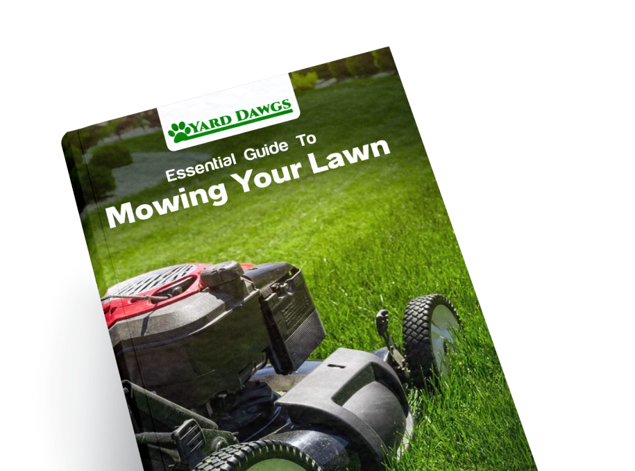 Essential Guide to Moving Your Lawn