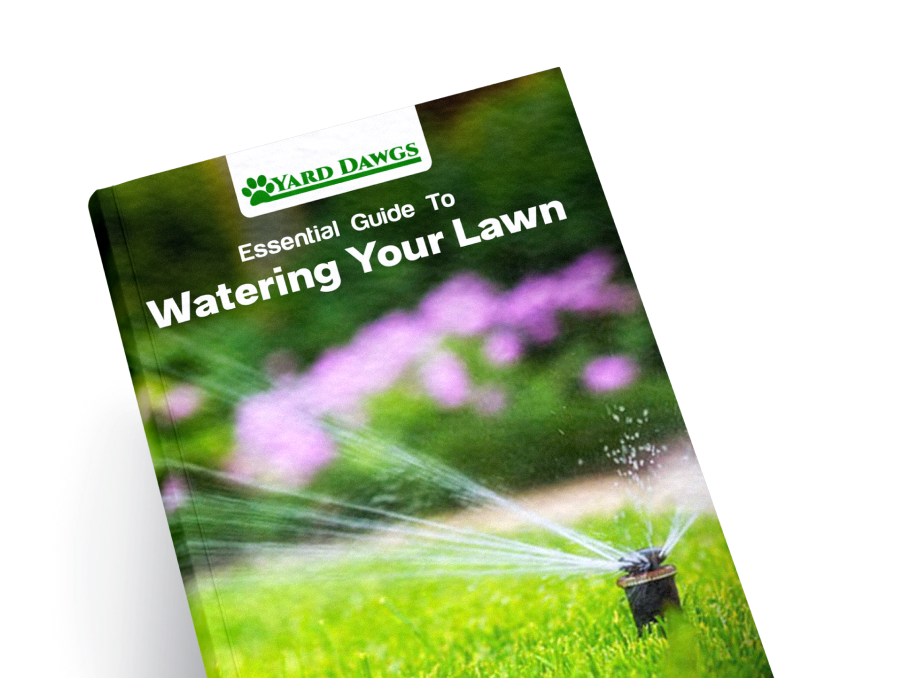 Essential Guide to Watering Your Lawn
